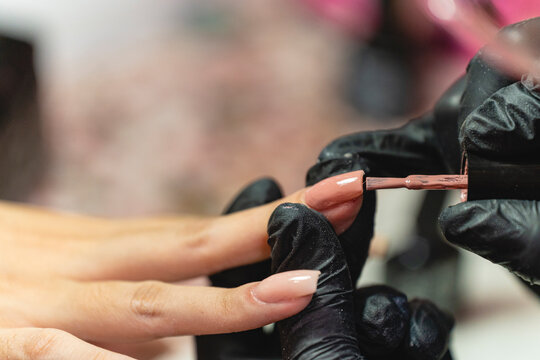 Manicurist woman painting nails
