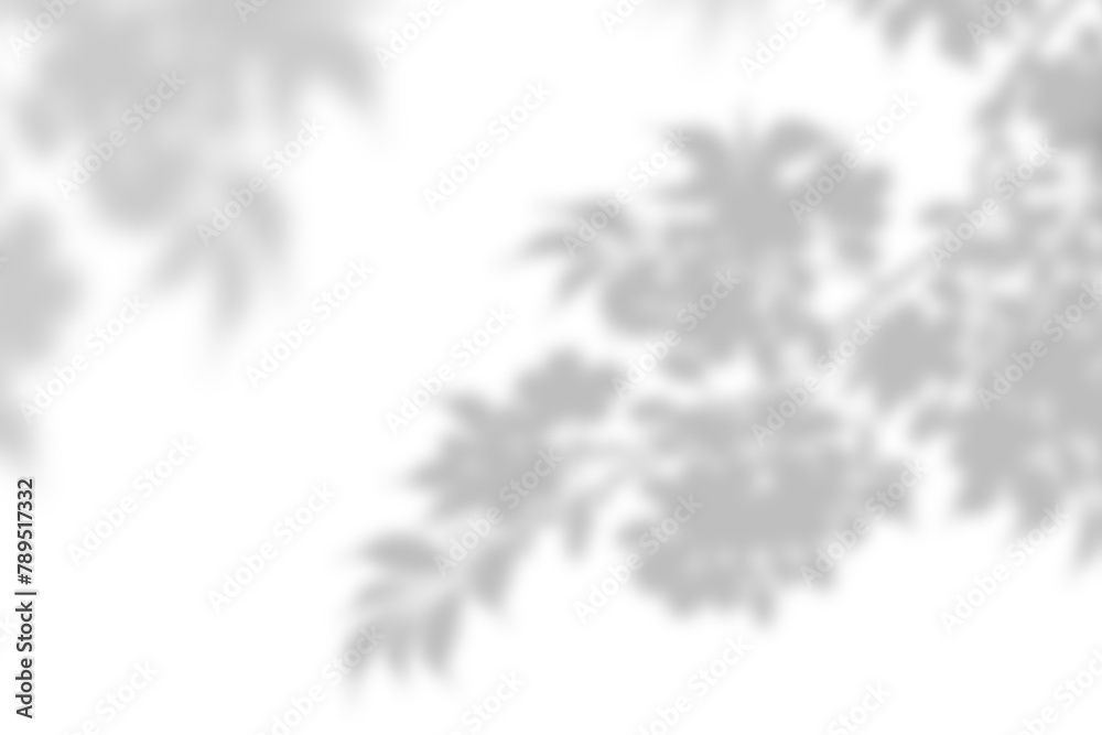 Wall mural PNG tree shadow design element - Wall murals