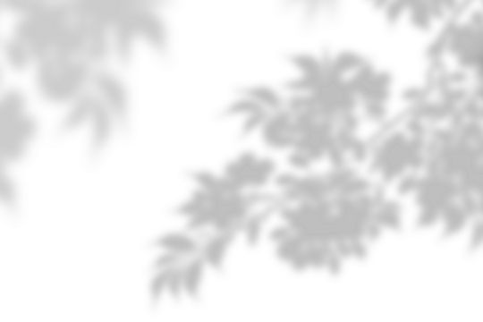 PNG tree shadow design element