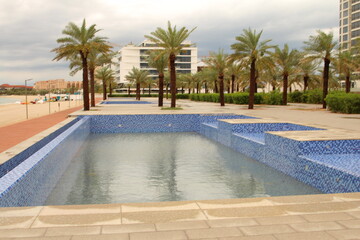 A swimming pool with palm trees