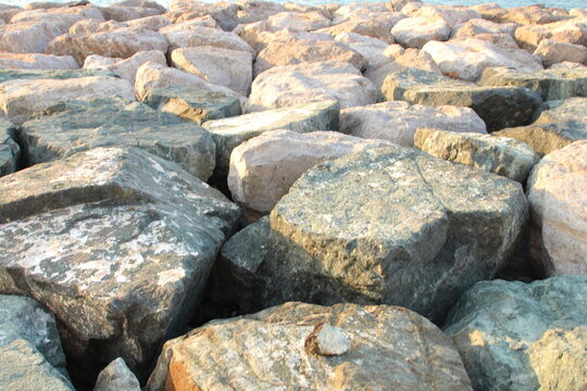A close-up of some rocks