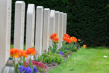 Flowers On A Row At Commonwealth War Graves At The Nieuwe Ooster Graveyard At Amsterdam The...