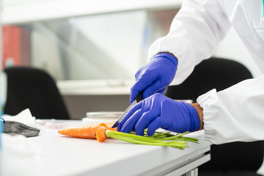  scientist researcher working on biotech laboratory