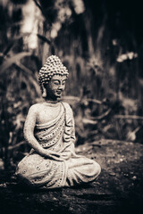 "Serenity in Nature: Buddha Meditating Amidst Natural Bliss"