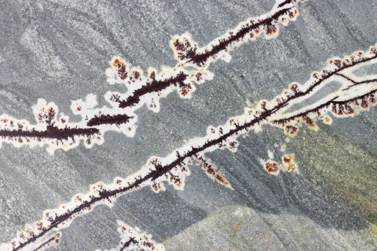 Linear Patterns Jasper Stone  
