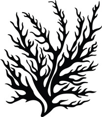 Obraz premium seaweed silhouette