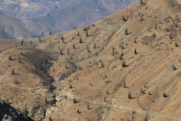 The arid mountains of Peru