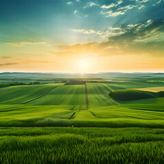 Obraz premium Title: Title: Title: wide panoramic view of green agriculture field grass landscape green sunset horizon