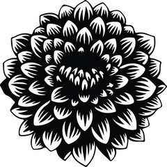 chrysanthemum silhouette