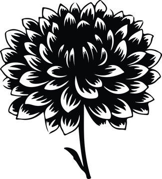black and white chrysanthemum flower clip art preview