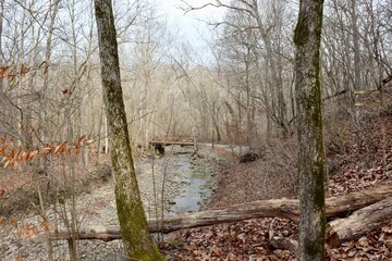 The flowing creek deep in the winter forest.