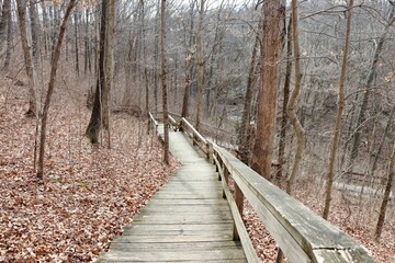 The old wood boardwalk trail in the forest.