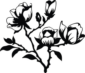 magnolia silhouette