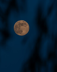 Full moon in sky at night