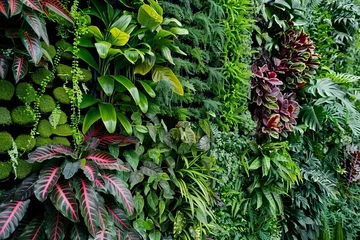 Gardinen modern vertical garden in urban home ecofriendly living wall with perennial plants interior design photo © Lucija