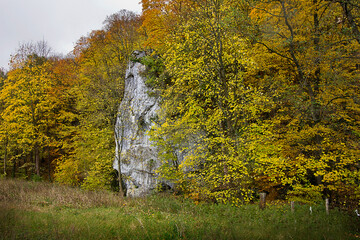 Autumn landscape rock in a yellow autumn forest