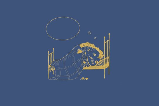 Exhausting fish with insomnia at the bedroom