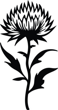 safflower silhouette