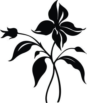 trillium silhouette