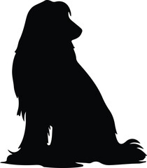 Afghan Hound silhouette