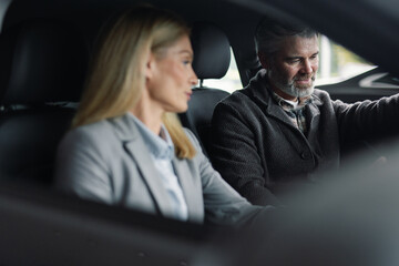 Consulting car dealership engaged salesman driver