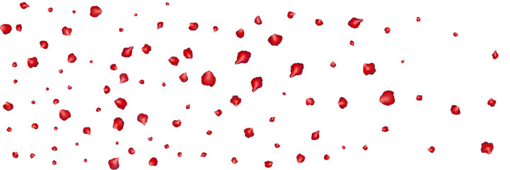 Flying red petals transparent background. Beautiful floral overlay with lots of rose petals.
