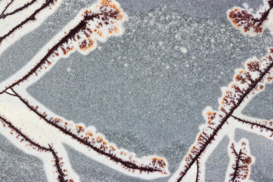 Linear Patterns Closeup  