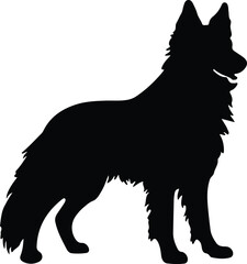 Obraz premium Belgian Sheepdog silhouette