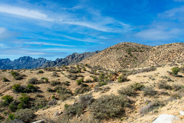 Fototapeta na wymiar Baylor Peak, Organ Needle in the Organ Mountains Desert Peaks NP in New Mexico