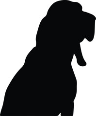 Bloodhound silhouette - obrazy, fototapety, plakaty