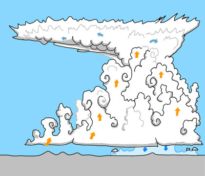 Schematic diagram of a cumulonimbus thunder cloud with updraft and downdraft arrows