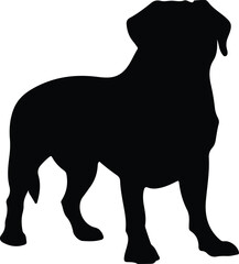 Dogue de Bordeaux silhouette
