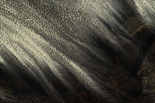 Abstract Formation of Pollen On Water