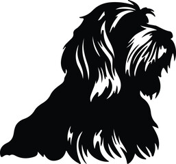 Fototapeta premium Petit Basset Griffon Venden silhouette