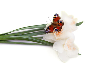 Butterfly on flower. - 789572139