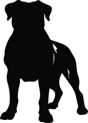 Obraz premium Presa Canario silhouette