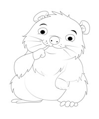 Hamster coloring page for kids