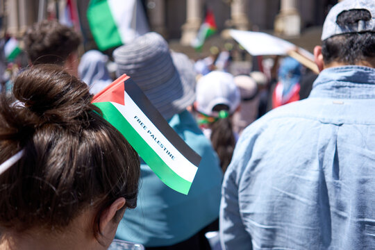 Crowd gather in support of Palestinians at rally