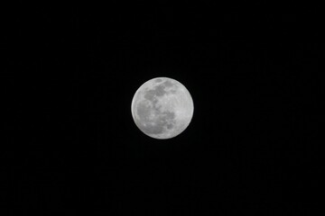 Luna llena de noche sobre el cielo oscuro y negro en la que se ven los cráteres