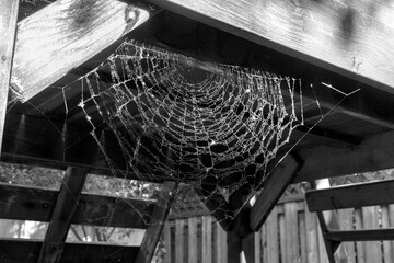 Spider web under a playground structure in black and white.