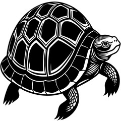 eastern box turtle silhouette vector illustration
