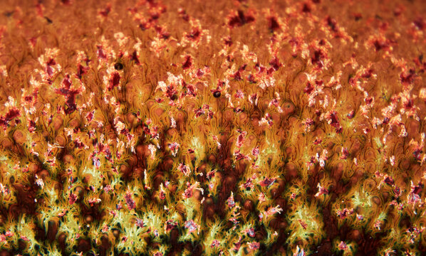 Textured background of microscopic glaze of Chinese ceramics tea cup