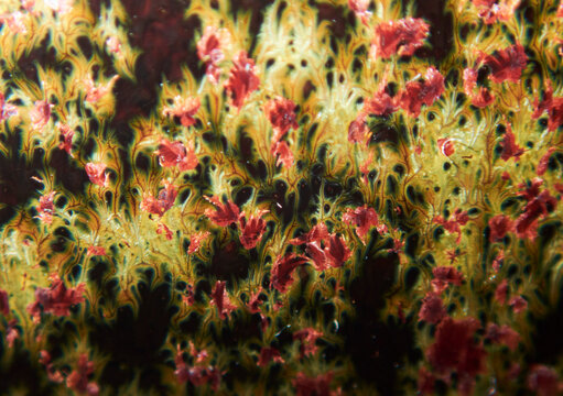 Textured background of microscopic glaze of Chinese ceramics tea cup