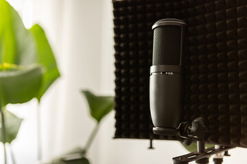 Vocal microphone with screen