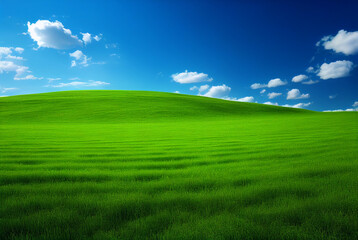 Grass field landscape with blue sky background. 