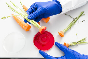 Petri Dish In Science Research Laboratory
