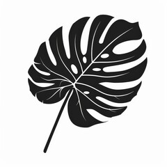 Silhouette of Black and White Monstera Leaf