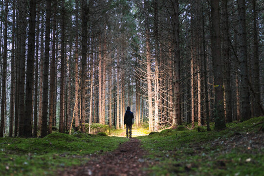 Hiking through the dark forest at night