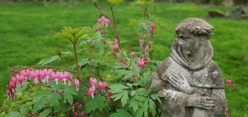 Obraz premium Saint Francis and Bleeding Hearts