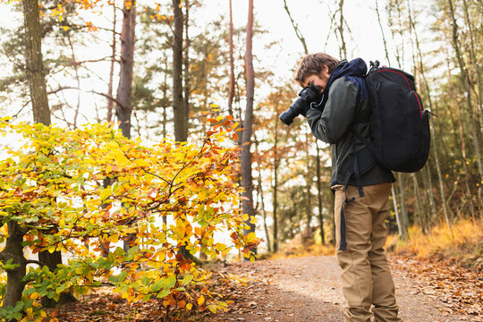 Outdoor photographer taking detail shots in forest